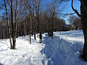 Alpe Cavallotti